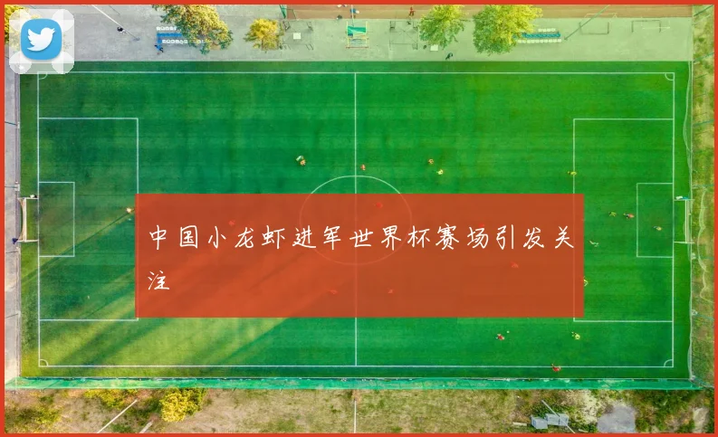 中国小龙虾进军世界杯赛场引发关注