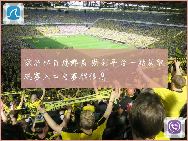 欧洲杯直播哪看 购彩平台一站获取观赛入口与赛程信息
