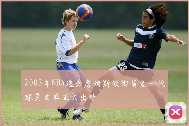 2003年NBA选秀詹姆斯领衔黄金一代球员名单正式出炉